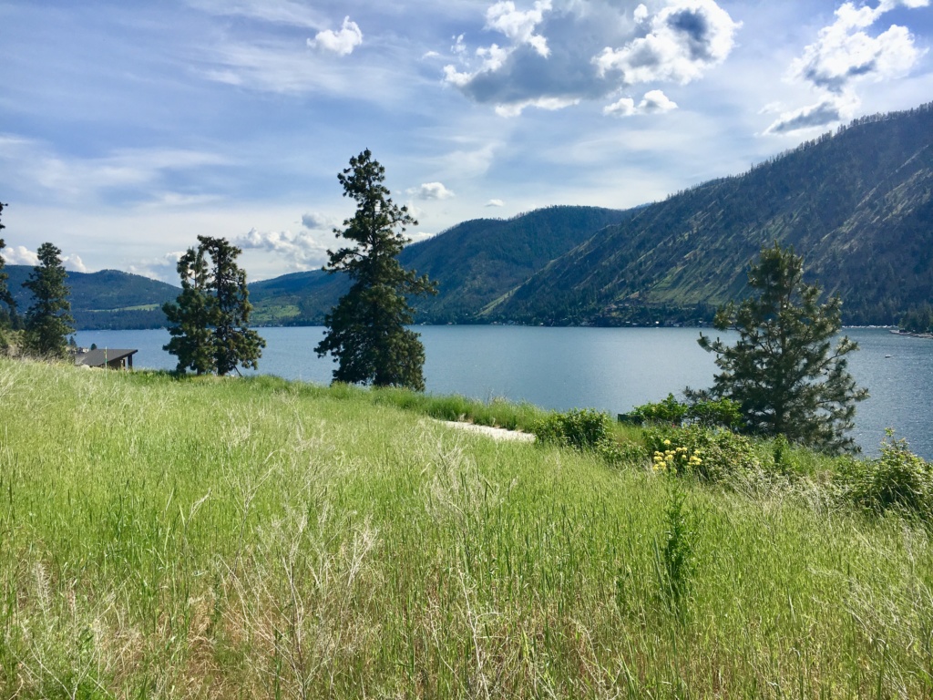 Panoramic Lake Chelan View Acreage Ready to Build Just Listed – Chelan ...